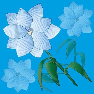 Flower with petals. Illustrazione stock