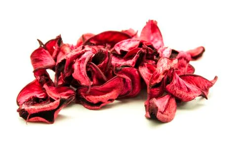 Flower petals Stock Photos