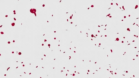 Flower Petals Splitting and Scattering Transparent Video stock 338079540