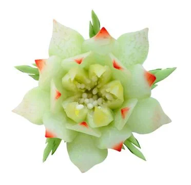 Flower Stock Photos
