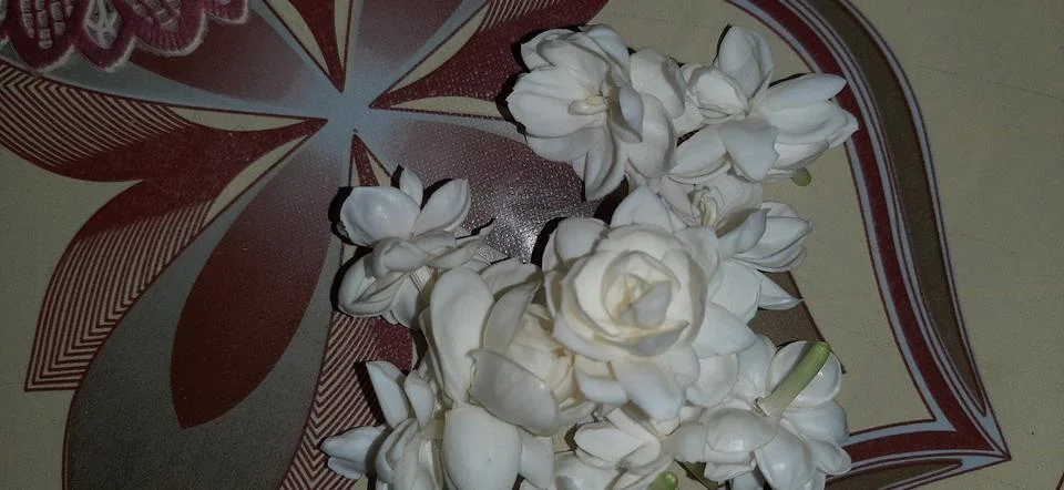 Flower Stock Photos
