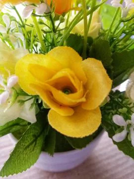 Flower Stock Photos