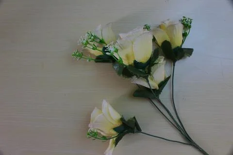 Flower 스톡 사진