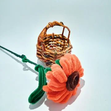 Flower Stock Photos