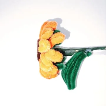 Flower Stock Photos