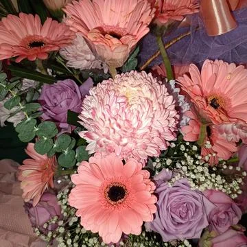 Flower Stock Photos