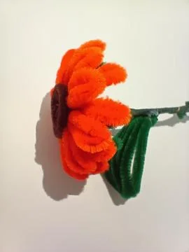Flower Stock Photos