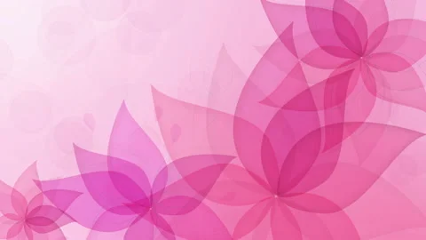 Flower pink background, loop animation 4K with colorful flowers, motion graphics Stock Footage 155842002