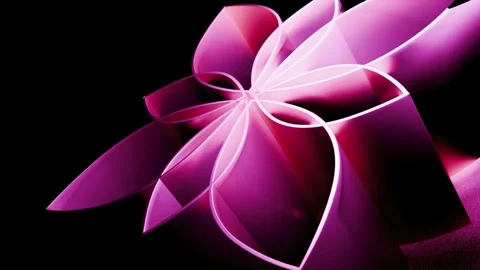Flower with Pink Color Background Loop Video Stock Footage 337636879