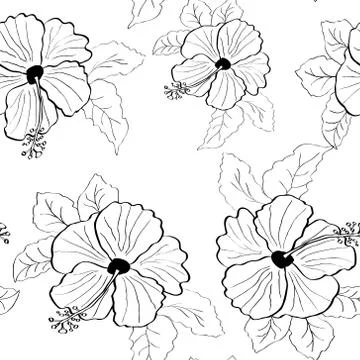 Flower pink hibiscus seamless pattern Stock Illustration
