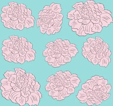 Flower pink peony seamless pattern Illustrazione stock