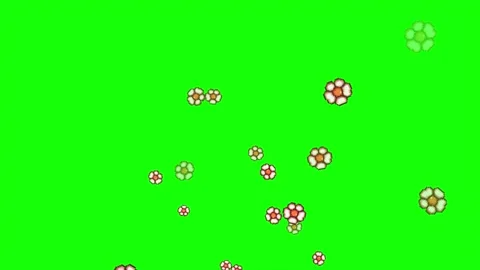Flower pixel animation on green screen, Retro 8 bit game style Stock Footage 300850153