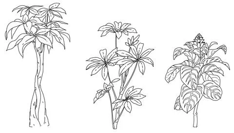Flower plant 스톡 일러스트