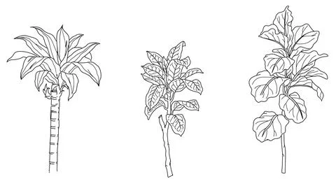 Flower plant Stock Illustration