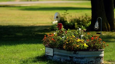 Flower planter in the front yard of a house in Lebanon Video stock 345530565