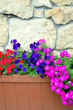 Flower planter. Stock Photos