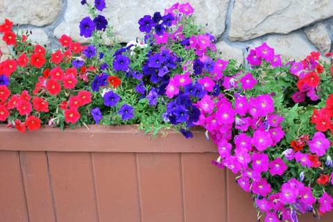 Flower planter. Stock Photos