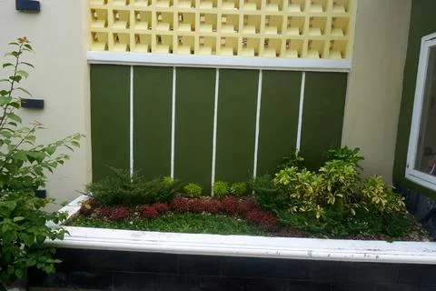 Flower plants Foto stock
