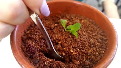 Flower pot cake eating 스톡 동영상 118189316