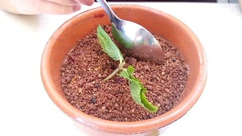 Flower pot cake 스톡 동영상 118189426