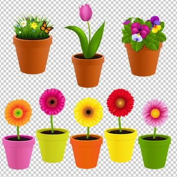 Flower In Pot Collection Stock Illustration