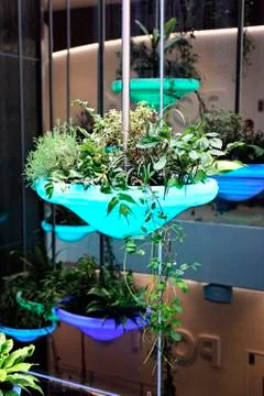 Flower pot dangling Stock Photos