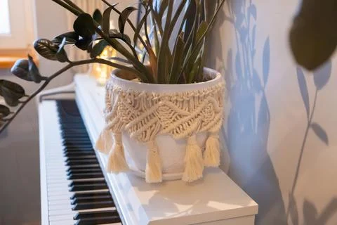 Flower pot decorated with handmade macrame placed on white piano surface 스톡 사진