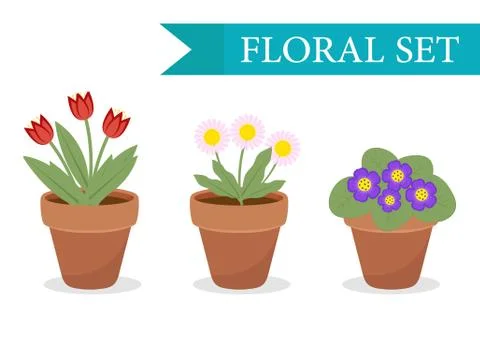 Flower pot with different flowers set, flat style. Flowerpot Collection iso.. Stock Illustration