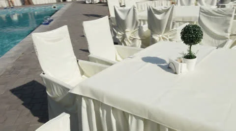 Flower in a pot 動画素材 24977577