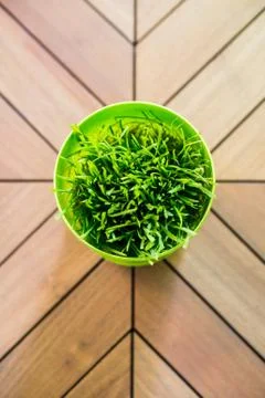 Flower pot with grass in the middle of a table Foto stock