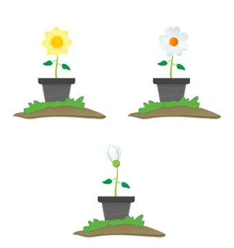 Flower on the pot Illustrazione stock