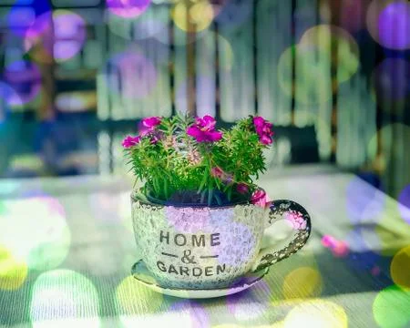 Flower Pot. Isolated. Stock Photos
