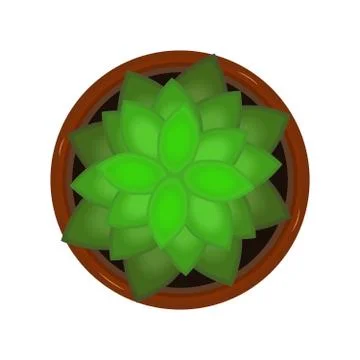 Flower in pot isolated on white background. Stock Illustration