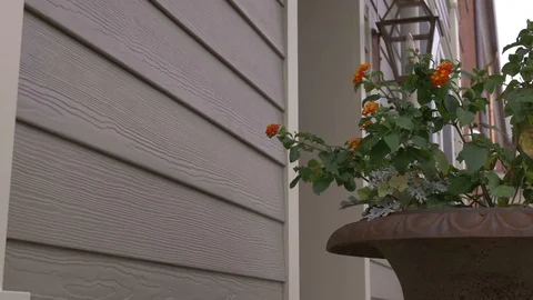 Flower Pot Next to Gray Siding with Camera Movement 스톡 동영상 100898865