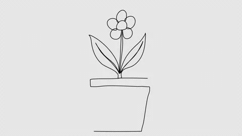 Flower in a pot. One line drawing animation with alpha channel. Stock Footage 273613341