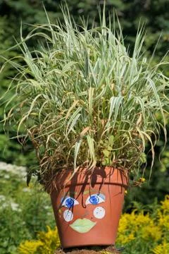 Flower pot Stock Photos