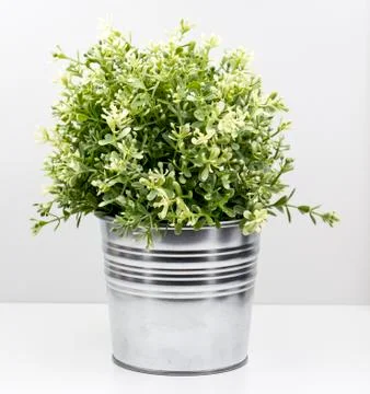 Flower pot 스톡 사진
