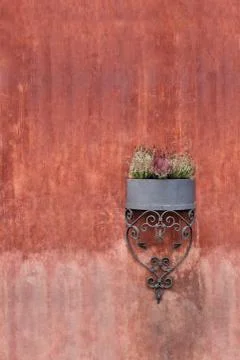 Flower pot Stock Photos