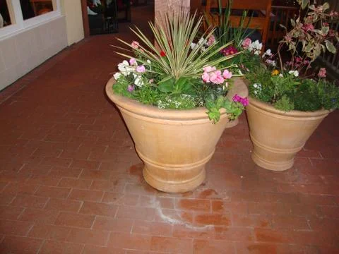 Flower Pot Stock Photos