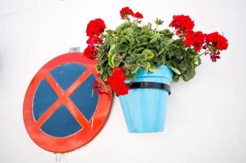 Flower pot Stock Photos