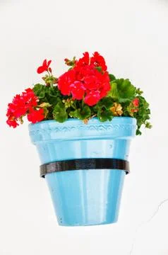 Flower pot Foto stock