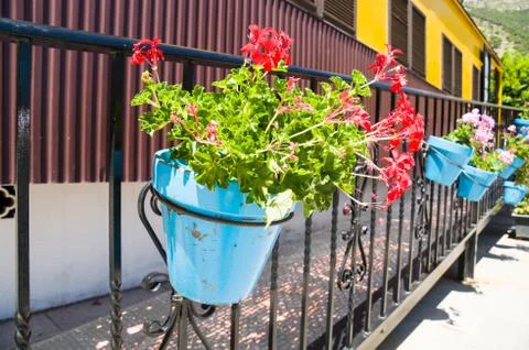 Flower pot Stock Photos
