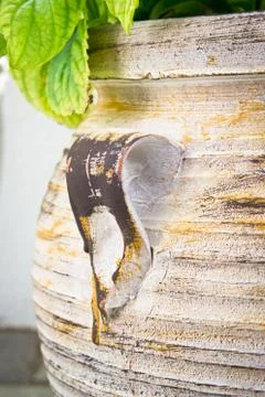 Flower pot Foto stock