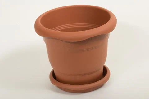 Flower pot 스톡 사진