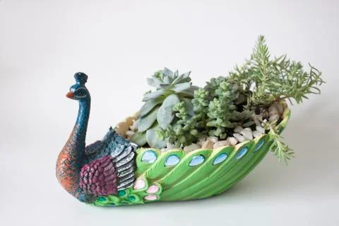 A flower pot 스톡 사진