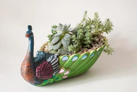 A flower pot 스톡 사진