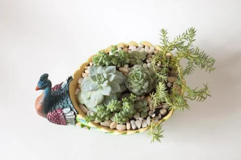 A flower pot 스톡 사진