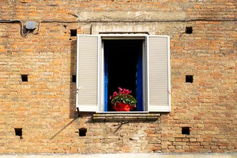 Flower Pot Stock Photos