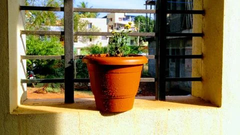 Flower pot 写真素材