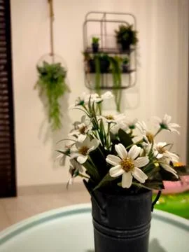 Flower Pot Stockfoto's